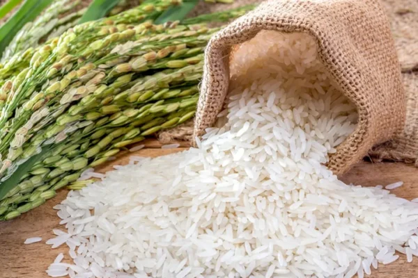 Harga Beras Melonjak di 178 Wilayah di Seluruh Indonesia | Ekonomi