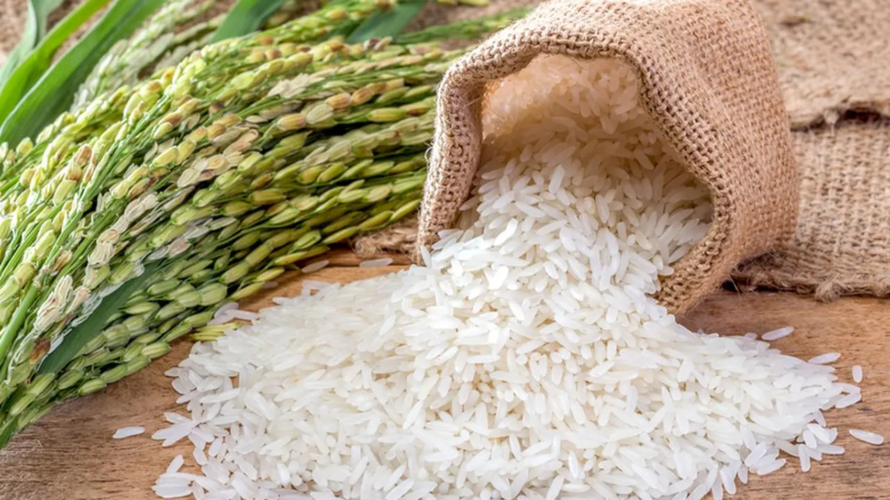 Harga Beras Melonjak di 178 Wilayah di Seluruh Indonesia | Ekonomi