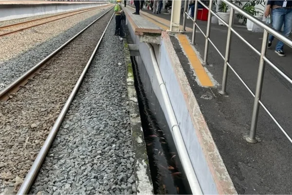 Kolam Ikan di Peron Stasiun Taman Kota Kejutkan Penumpang KRL | kolam ikan