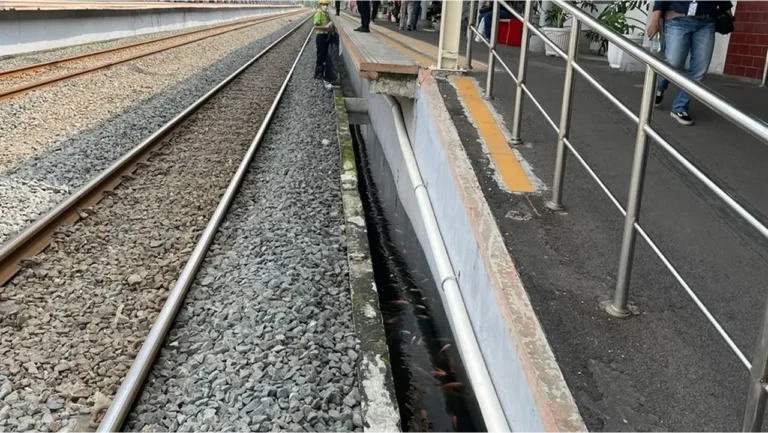 Kolam Ikan di Peron Stasiun Taman Kota Kejutkan Penumpang KRL | Nasional