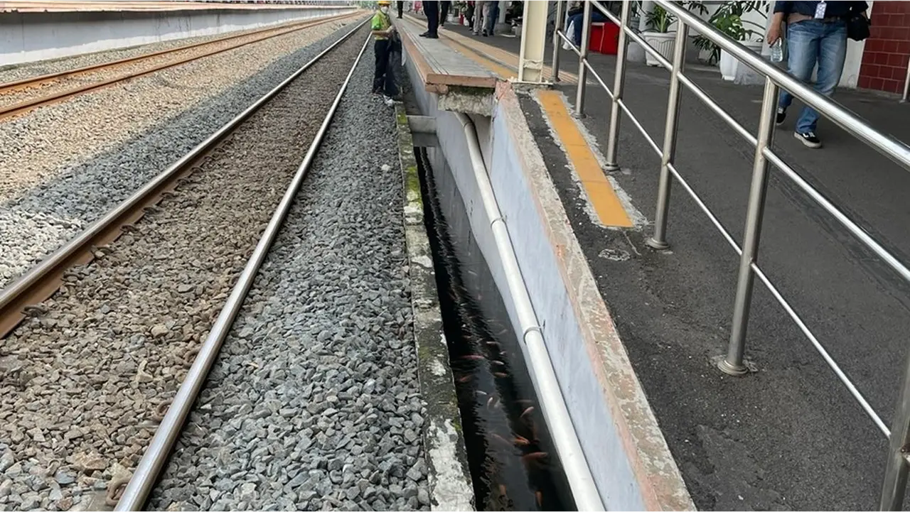 Kolam Ikan di Peron Stasiun Taman Kota Kejutkan Penumpang KRL | Nasional