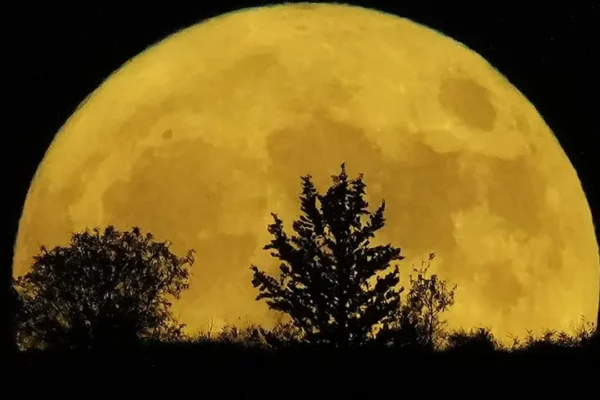 Tiga Supermoon Terjadi di 2025, Simak Tanggalnya! supermoon