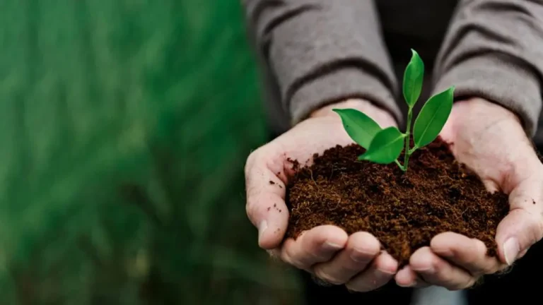 Dai Muda Dukung Kesadaran Lingkungan untuk Atasi Krisis Iklim | Nasional