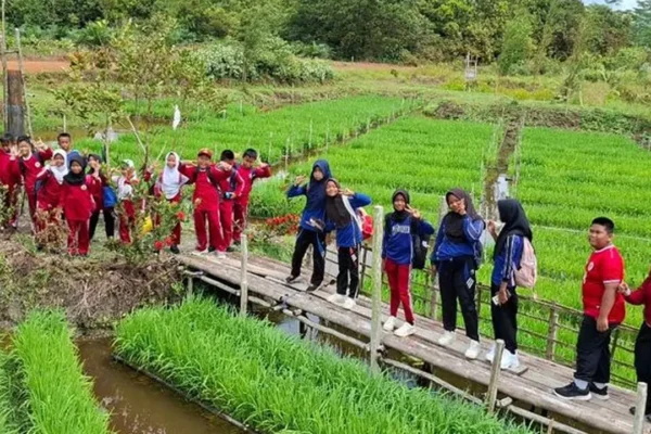 Pertamina Luncurkan 110 Inovasi Melalui Program PFmuda | Nasional