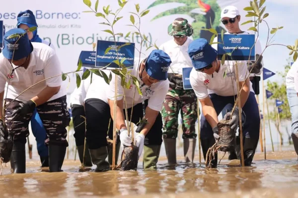 Telkom Ajak 50 Karyawan Jadi Relawan Lestarikan Lamun di Pulau Pari | Telkom