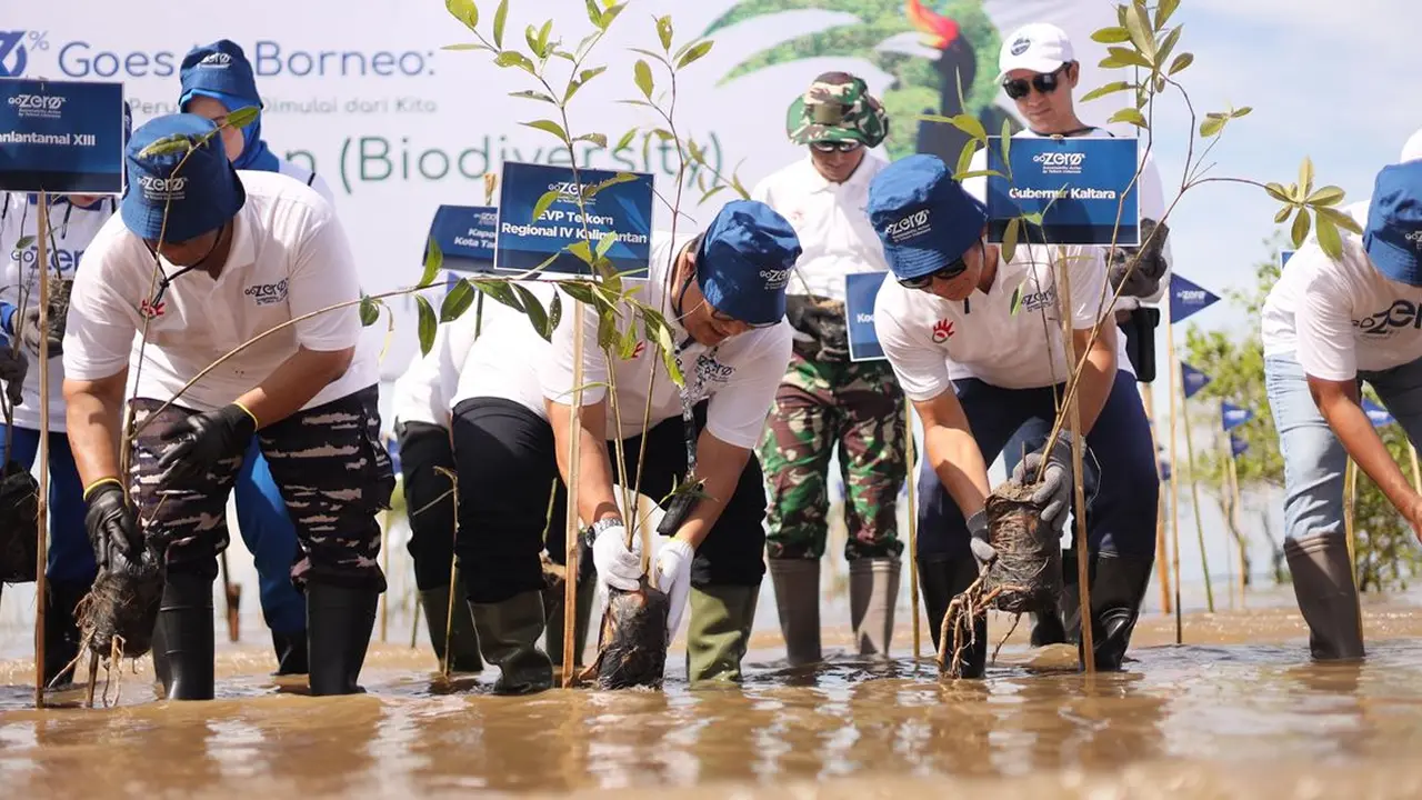 Telkom Ajak 50 Karyawan Jadi Relawan Lestarikan Lamun di Pulau Pari | Nasional