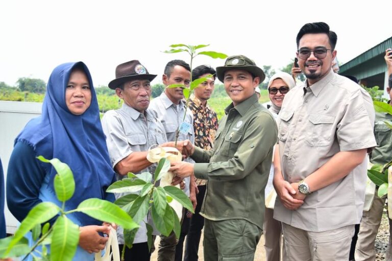Menhut Sasar 17 Juta Bibit Pohon Gratis Tersalur hingga 2025