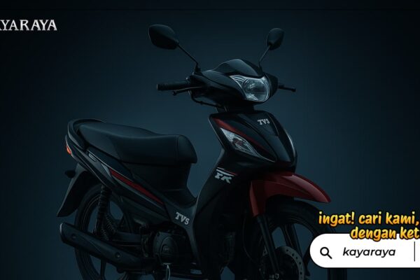 tvs neo xr