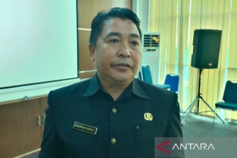 Ratusan Hektar Lahan Rejang Lebong Dikenal Sebagai Cetak Sawah Rakyat