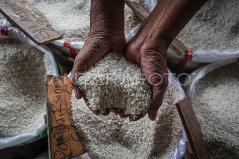 Pemerintah Tinjau Subsidi Angkutan untuk Stabilkan Harga Beras