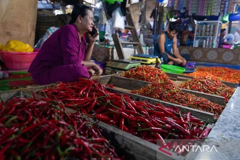 Harga Cabai Rawit Rp20.650 dan Telur Ayam Rp27.100 per Kg