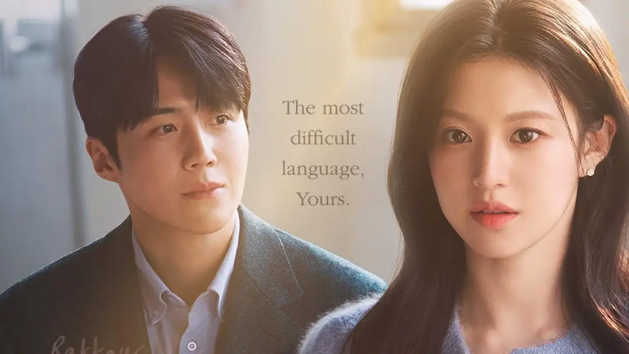 can this love be translated