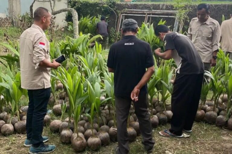 Banyumas Targetkan Jadi Pusat Ekspor Gula Kelapa Genjah
