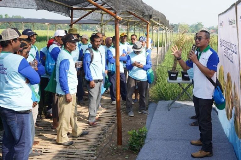 Syngenta Indonesia Tingkatkan Karawang Sebagai Pusat Produksi Padi